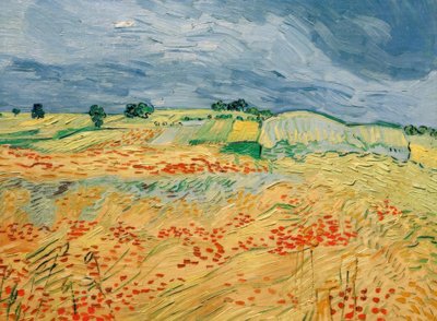 Felder, mit blühendem Mohn von Vincent van Gogh